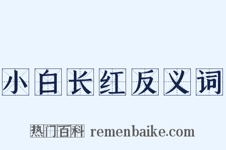 小白长红反义词是什么意思的图片